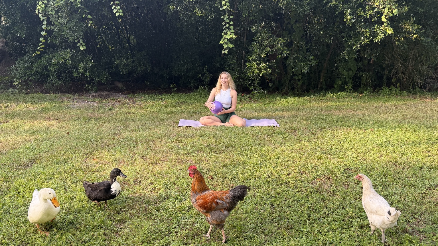 Outdoor Pilates on a mat with farm animals nearby